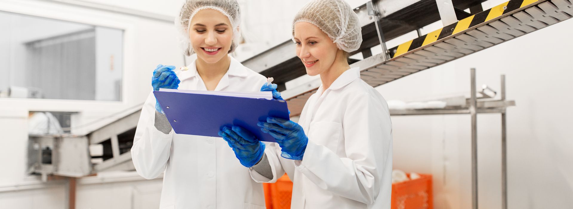 Food Product Development